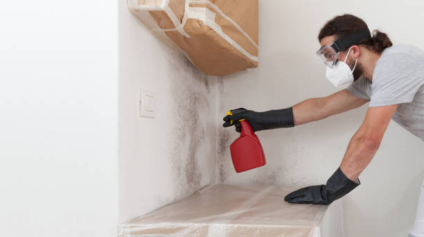 Professional Black Mold Remediation technician working in Brookfield, NJ